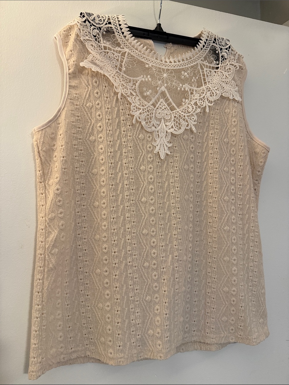 Source Unknown Lace Yoke Cream Sleeveless Knit Camisole